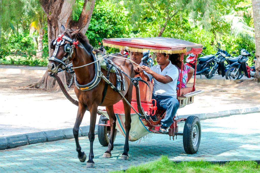 Bintan Agro Beach Resort & Spa Телукбакау Экстерьер фото